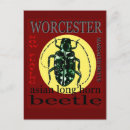 Recherche de scarabee cartes postales Insecte