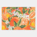 Search for salad wrapping paper Summer