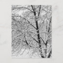 Recherche de neige couverte posters Tempête