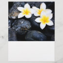 Recherche de flower prospectus Blanc
