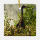 Search for moose ornaments National park