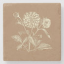 Recherche de illustrations vintages dessous de verres Botanique