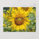Recherche de visage du soleil cartes postales Fleur