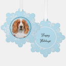 Search for welsh ornaments Welsh springer spaniel