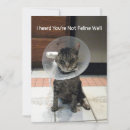 Search for surgery get well cards Cat