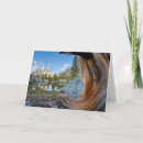 Search for ansel adams wilderness postcards Inyo national forest