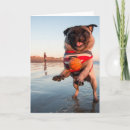 Search for play ball cards Dog