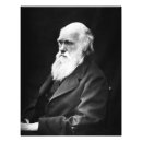 Search for evolution photography Portrait