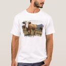 Search for carefree clothing Animals