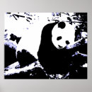 Recherche de panda chinois posters Animal
