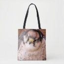 Search for falcone bags Animals