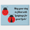 Recherche de de coccinelle magnets Mignon