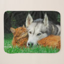 Search for siberian husky blankets Cute
