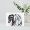 Search for horse design postcards Equine