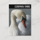 Recherche de affaire modèle graphique Moderne