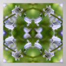 Recherche de jacinthes posters Photographie