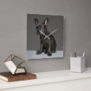 Recherche de french bulldog horloges Chien