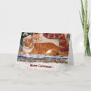 Search for cat snowman cards Photograph