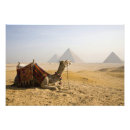 Search for seven wonders of the world posters Cairo