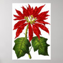 Recherche de salutation de noël posters Fleur