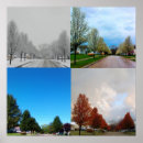 Search for spring colors posters Nature