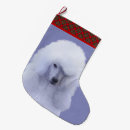 Recherche de caniche chaussette de noël Chiot