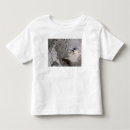 Search for ash tshirts Eruption