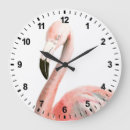 Recherche de oiseaux tropicaux horloges Aquarelle
