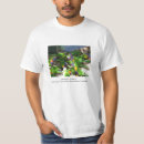 Search for lorikeet tshirts Corella