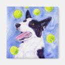 Recherche de chien de border collie magnets Rassemblement