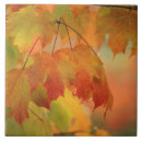 Search for red maple leaf tiles Yellow