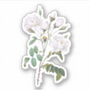 Search for vintage botanical illustration stickers Garden