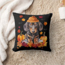 Search for dachshund thanksgiving Pet