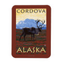 Search for cordova magnets States