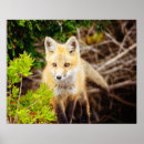Recherche de kit art Portrait
