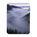 Search for smokey mountain magnets Park
