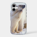 Search for marine mammal iphone cases Wildlife