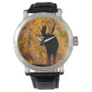 Search for moose watches Alces alces
