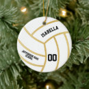 Search for colors ornaments High school