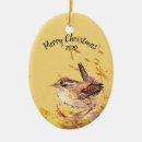 Search for wren ornaments Wildlife