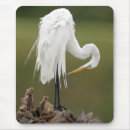 Search for storks mousepads Birds