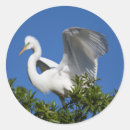 Search for egret stickers Florida