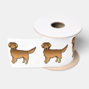 Recherche de golden retriever rubans Dog