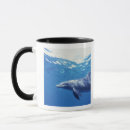 Search for bottlenose dolphin mugs Fauna