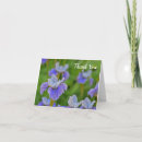 Search for iris greeting Garden