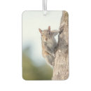 Search for funny animals car air fresheners Wildlife