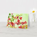 Recherche de bougainville cartes postales Floral
