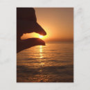 Search for caught postcards Ocean