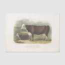 Search for cow tissue paper Ephemera