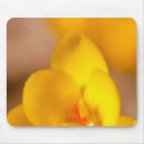Recherche de tête fleur tapis souris Jour
